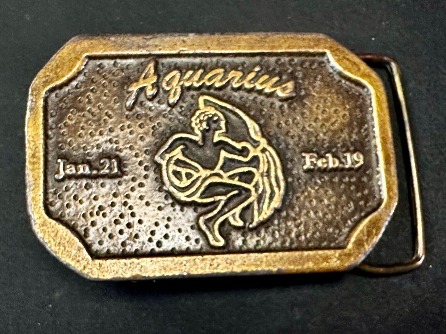 AQUARIUS Jan 21 - Feb 19  Horoscope Astrological Zodiac Cal Metals Belt Buckle