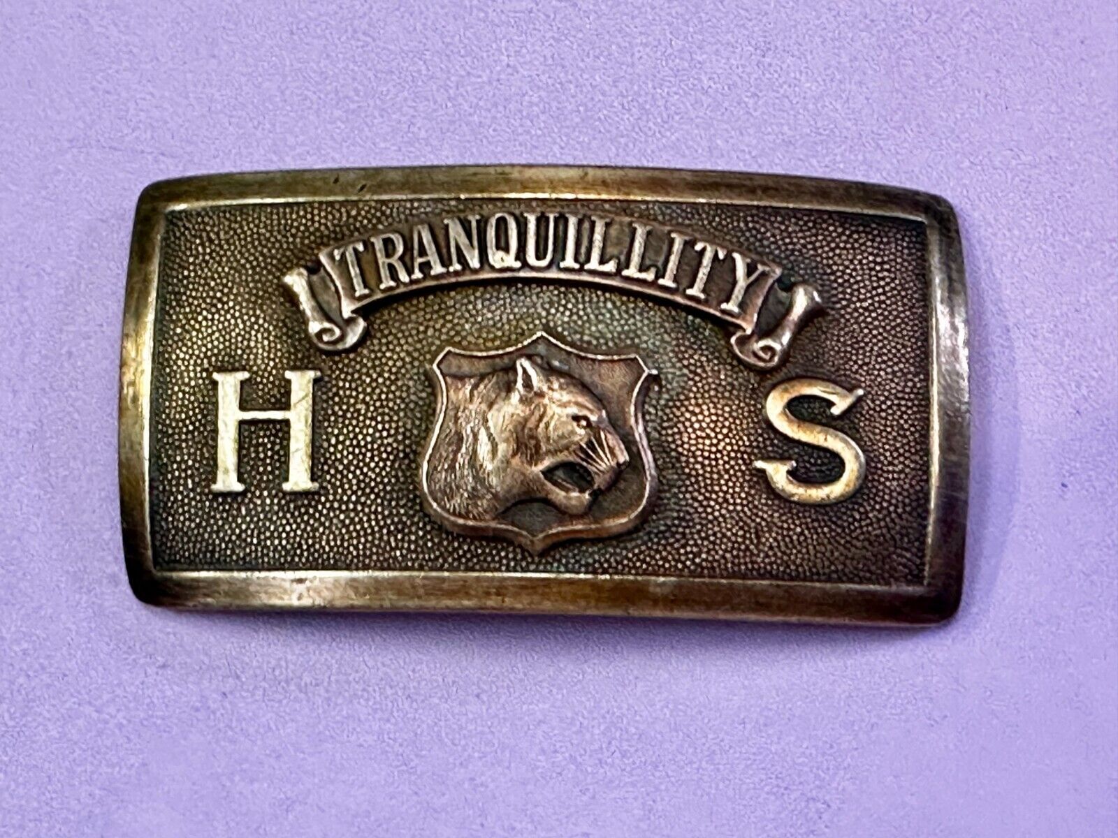 Tranquility High School Logo Seal Belt Buckle Invisible Made in USA