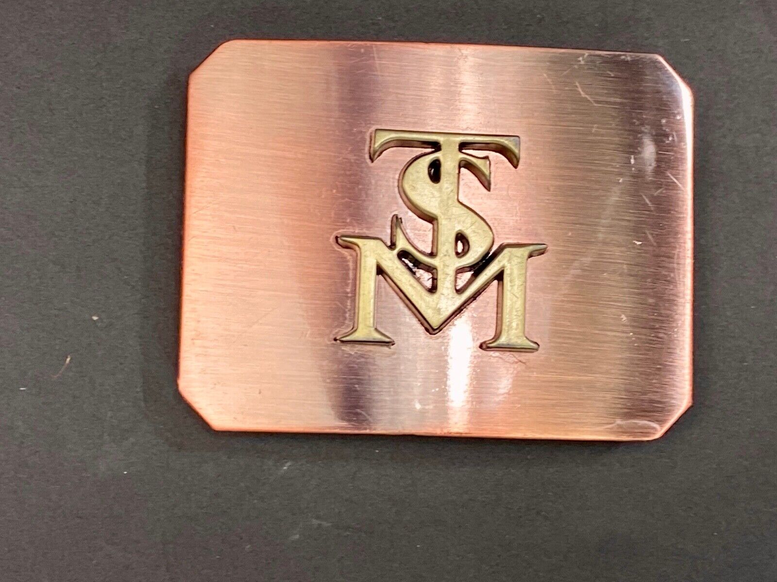 Tsm Team Solomid League Of Legends Team? Belt Buckle 