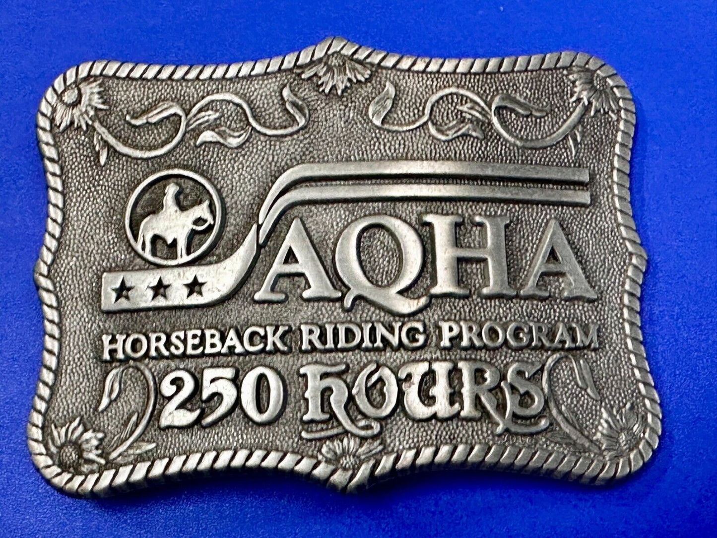 AQHA Horseback Riding Program 250 hours Award Belt Buckle by Quarterhorse