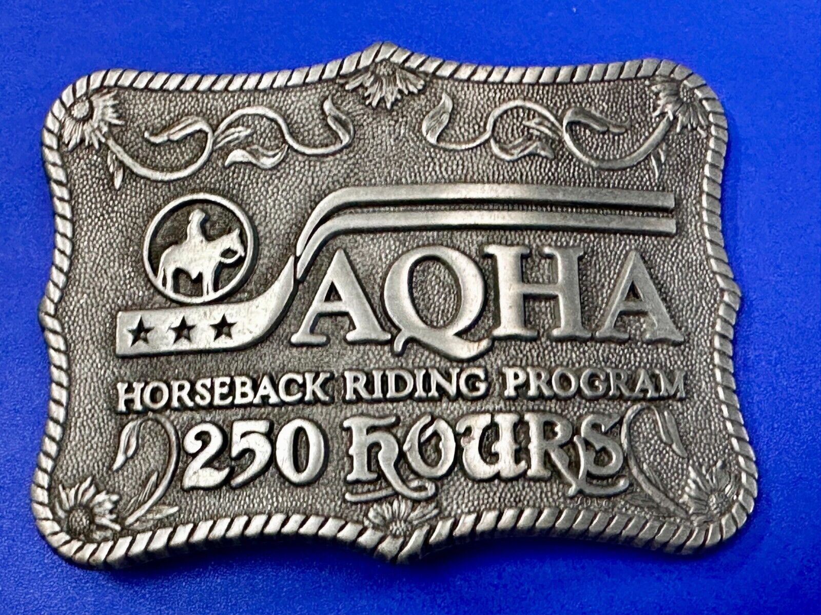 AQHA Horseback Riding Program 250 hours Award Belt Buckle by Quarterhorse