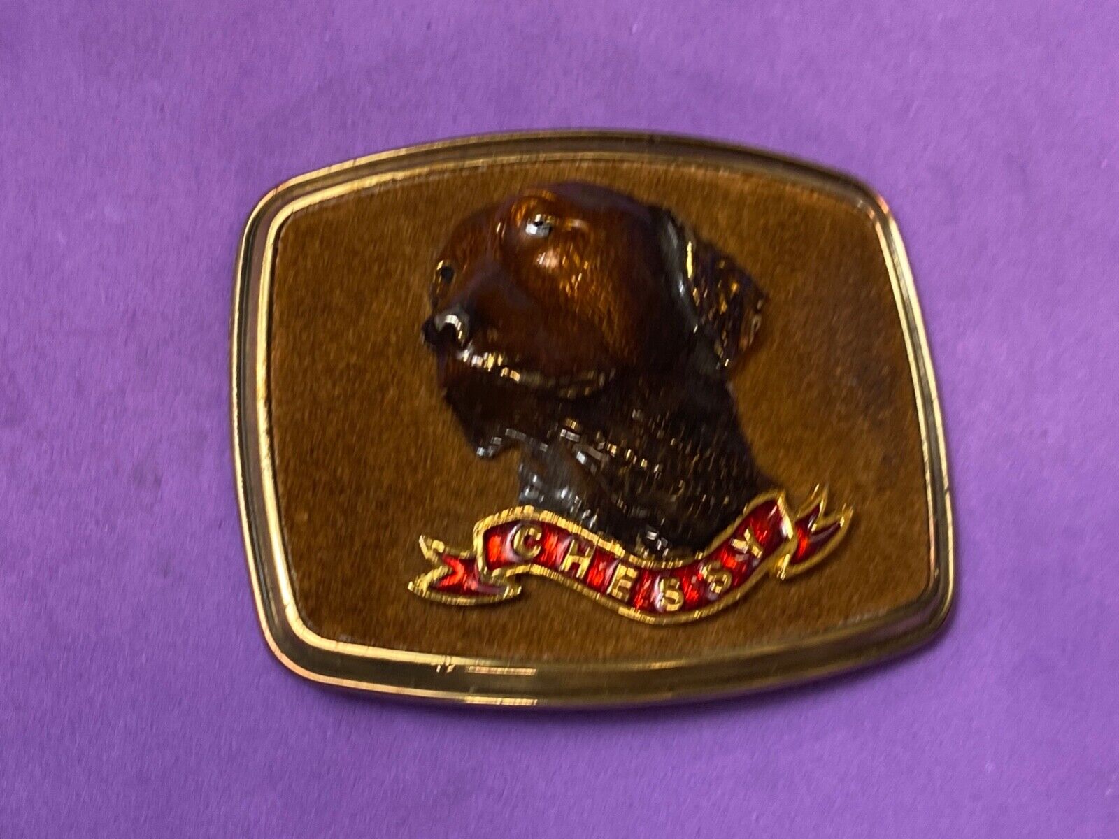 1979 Chessy Dog Breed Mans best Friend Raintree belt buckle