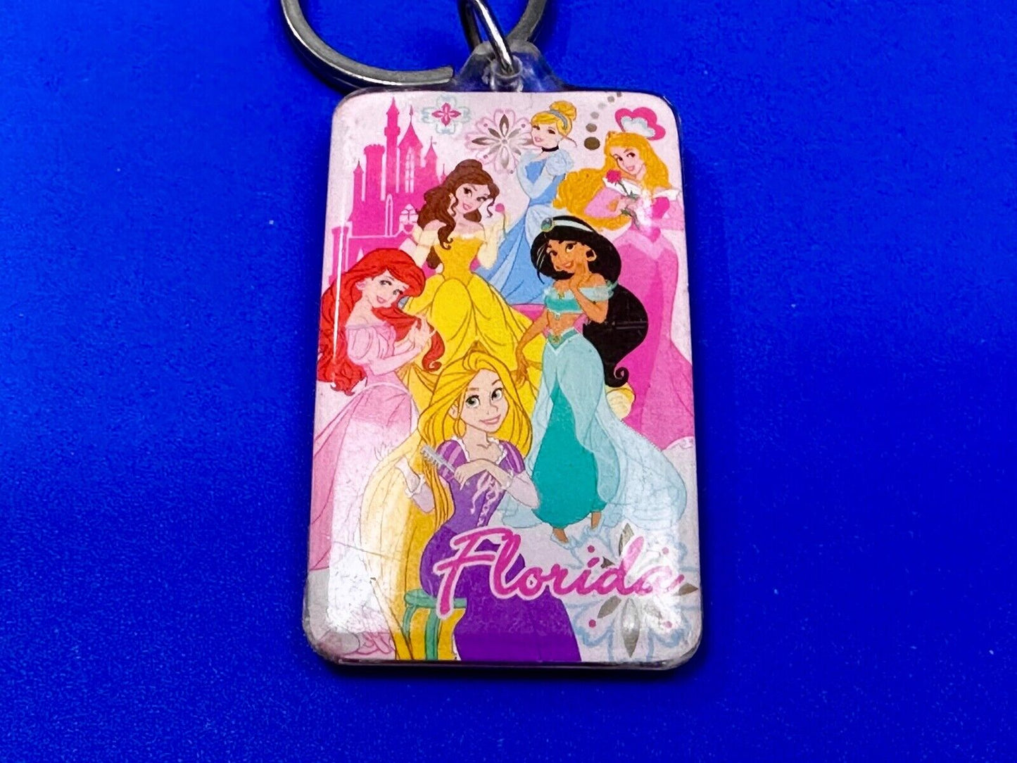 All the Princesses of Disney and Florida!  Souvenir Keychain, Key Chain Ring