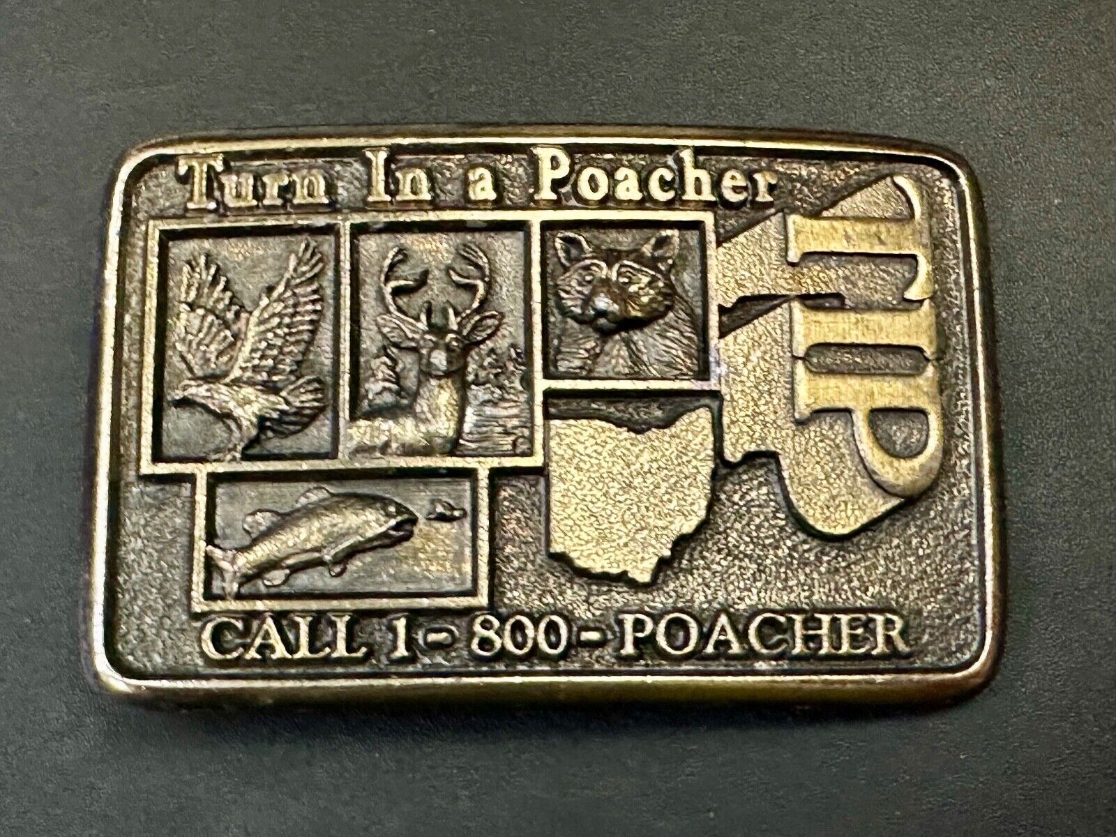 Turn in a Poacher Enjoy wildlife tomorrow TIP line hunting RARE belt buckle