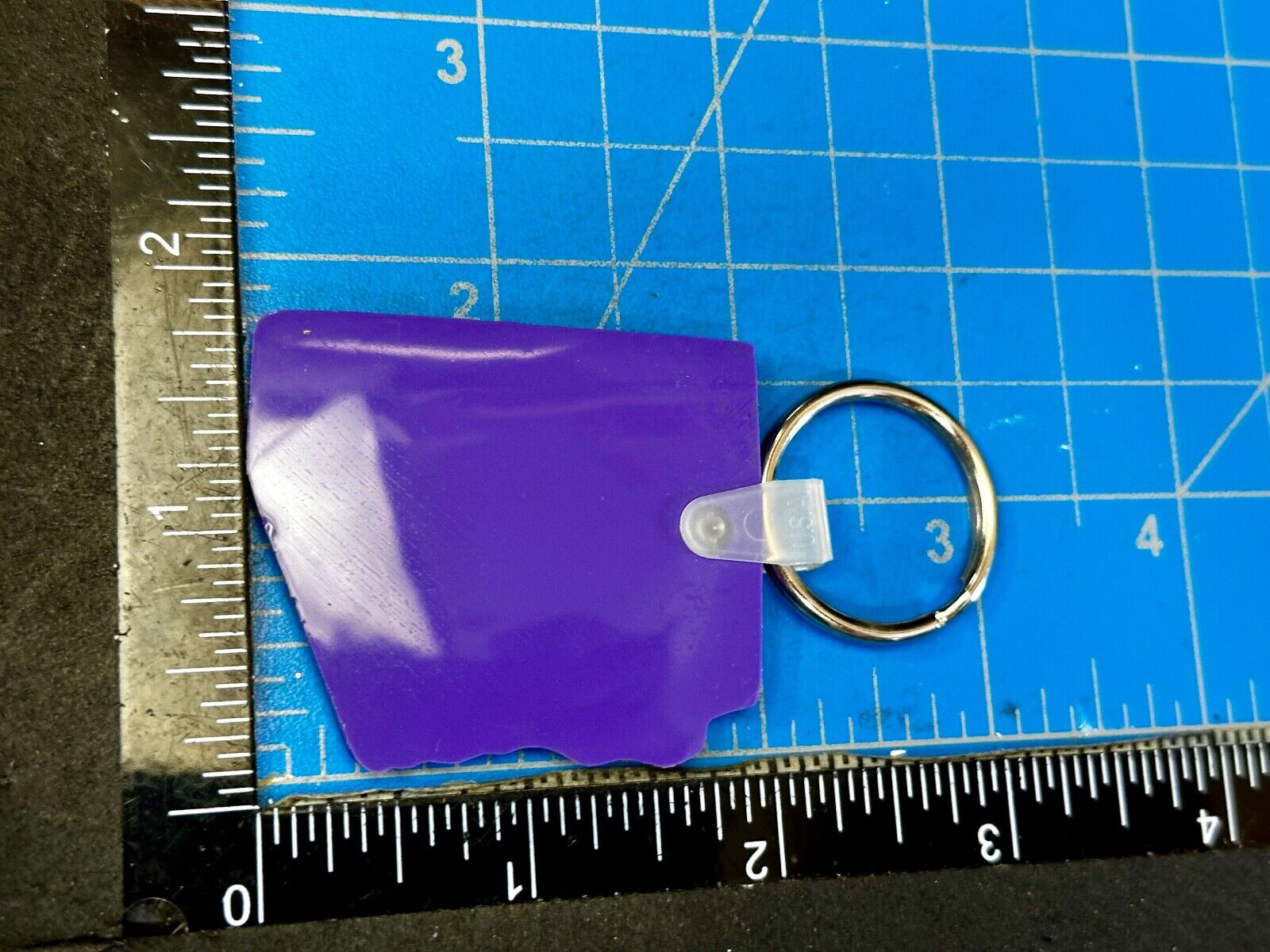 Arizona State Fair Purple Souvenir Keychain Key Ring Chain