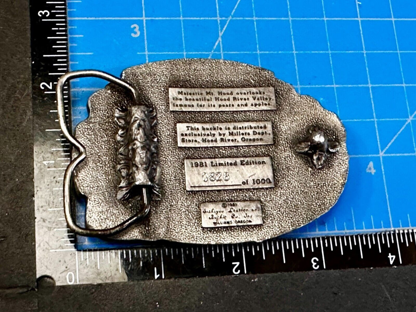 Majestic Mt. Hood River Valley Oregon Scenery Vtg 1981 Commemorative Belt Buckle