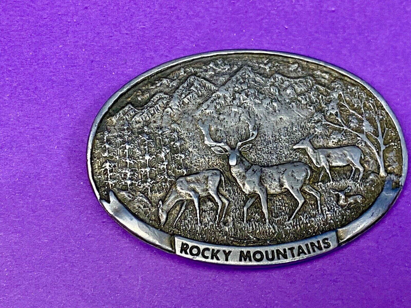 Vintage Deer in nature, Rocky Mountains Belt buckle by Spec Cast 