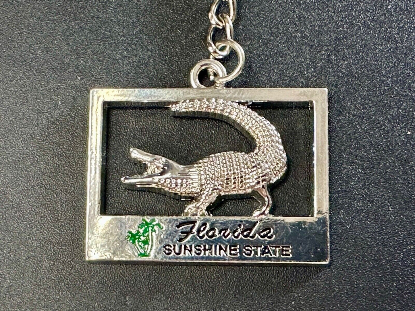 Alligator, Florida,  The Sunshine State souvenir Keychain - Key Ring Chain