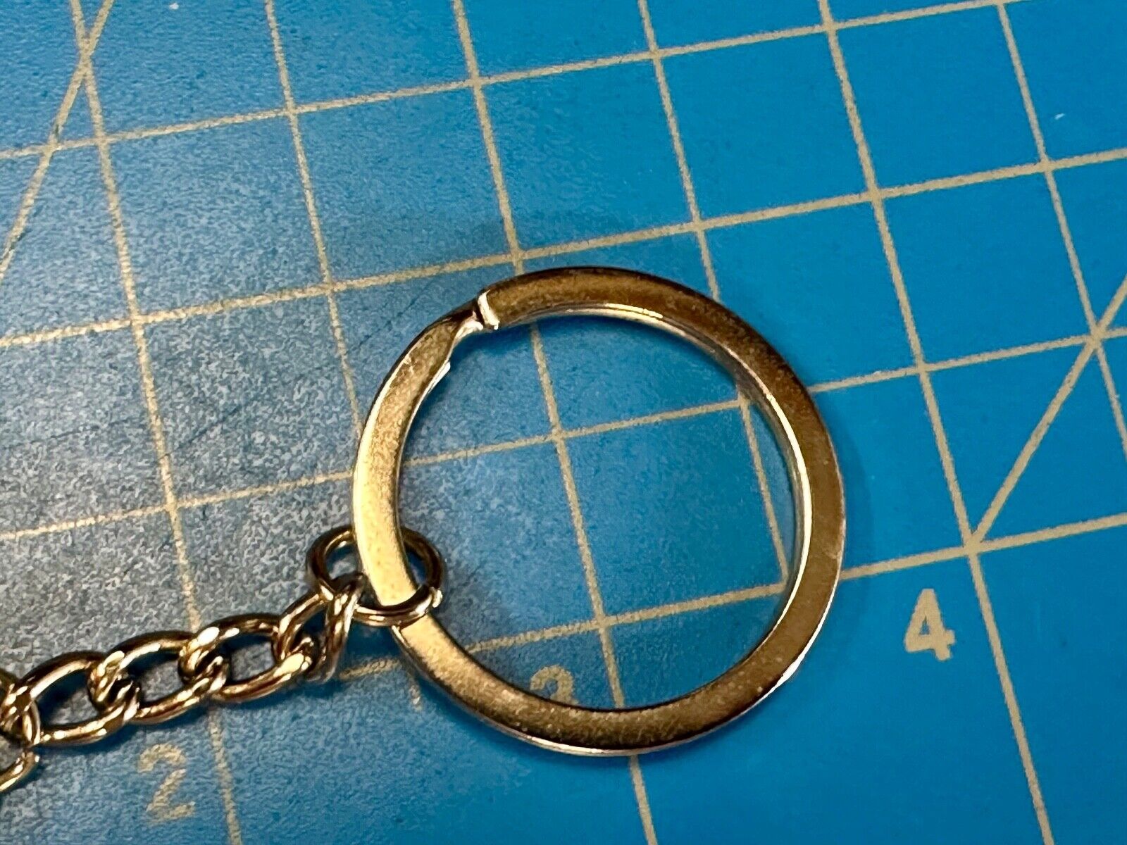 Alligator, Florida,  The Sunshine State souvenir Keychain - Key Ring Chain