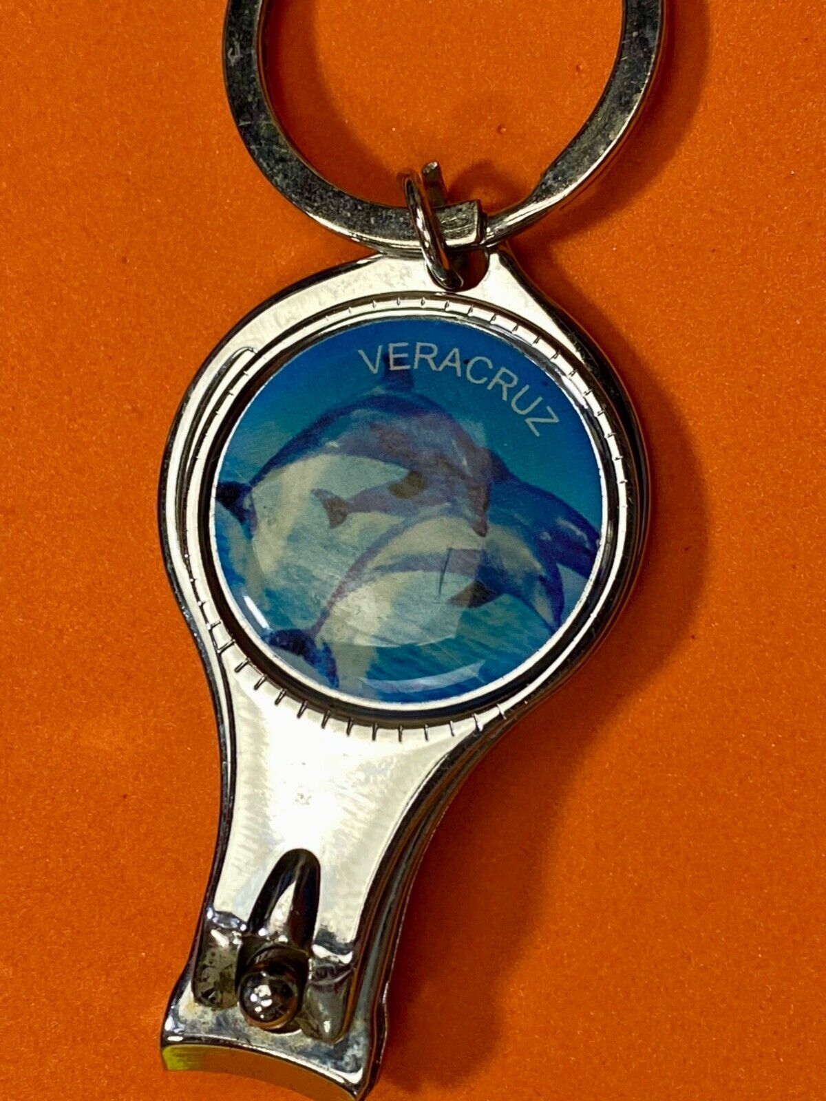 Veracruz (Mexico) Jumping swimming dolphins key chain keychain toenail clipper