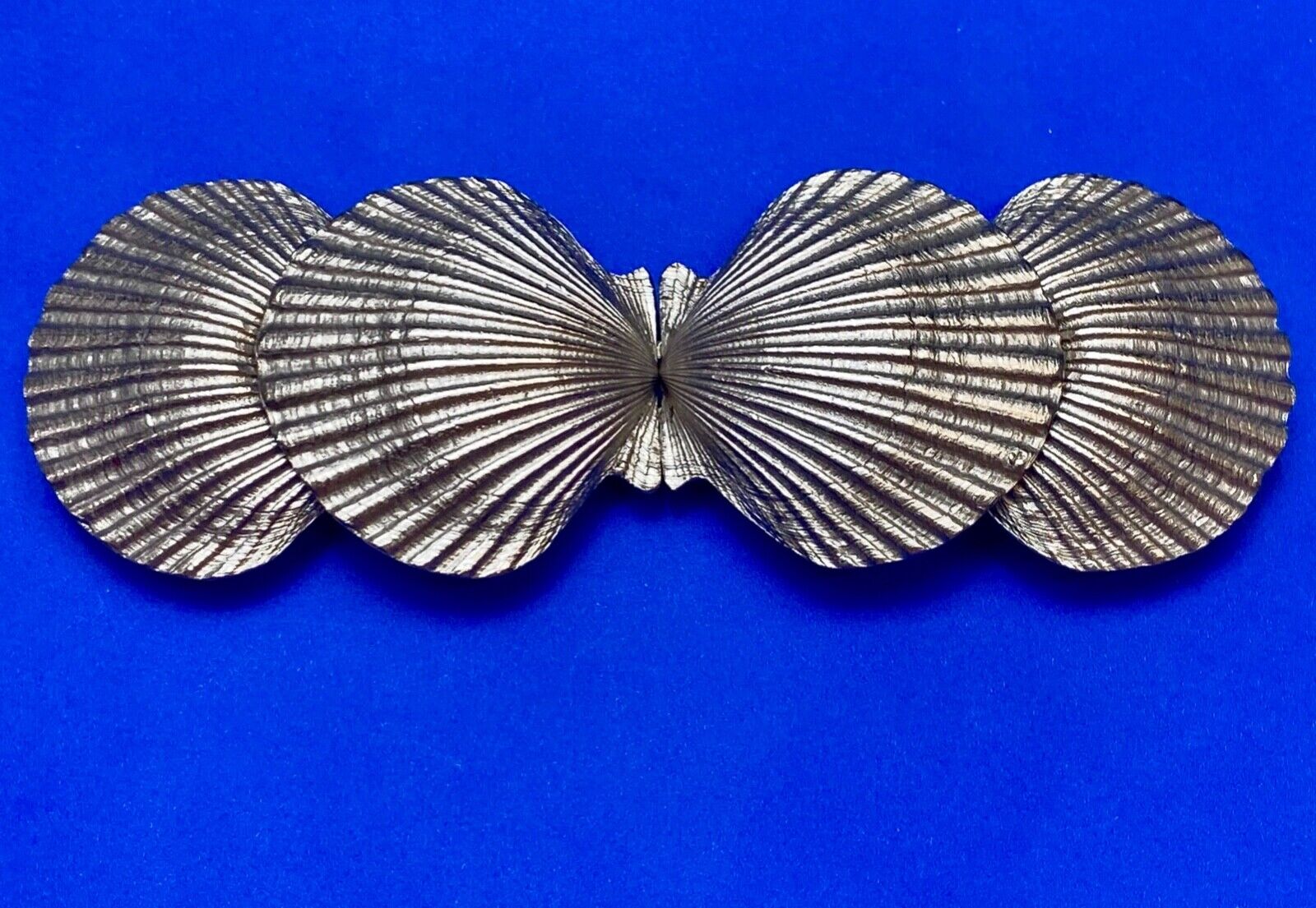 Two piece Interlocking silver color dual Clam SHELL belt buckle - DR Doreen Ryan