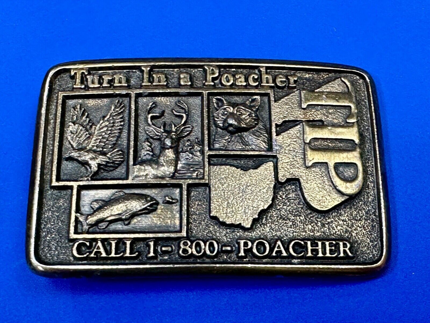 Turn in a Poacher Enjoy wildlife tomorrow TIP line hunting RARE belt buckle