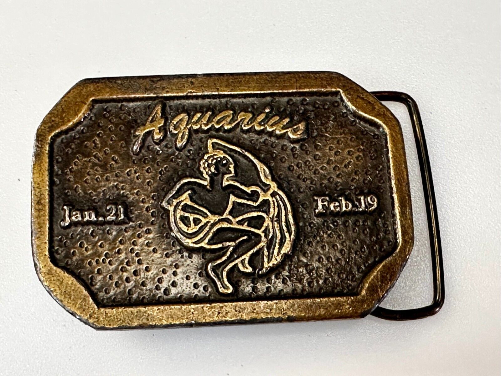 AQUARIUS Jan 21 - Feb 19  Horoscope Astrological Zodiac Cal Metals Belt Buckle