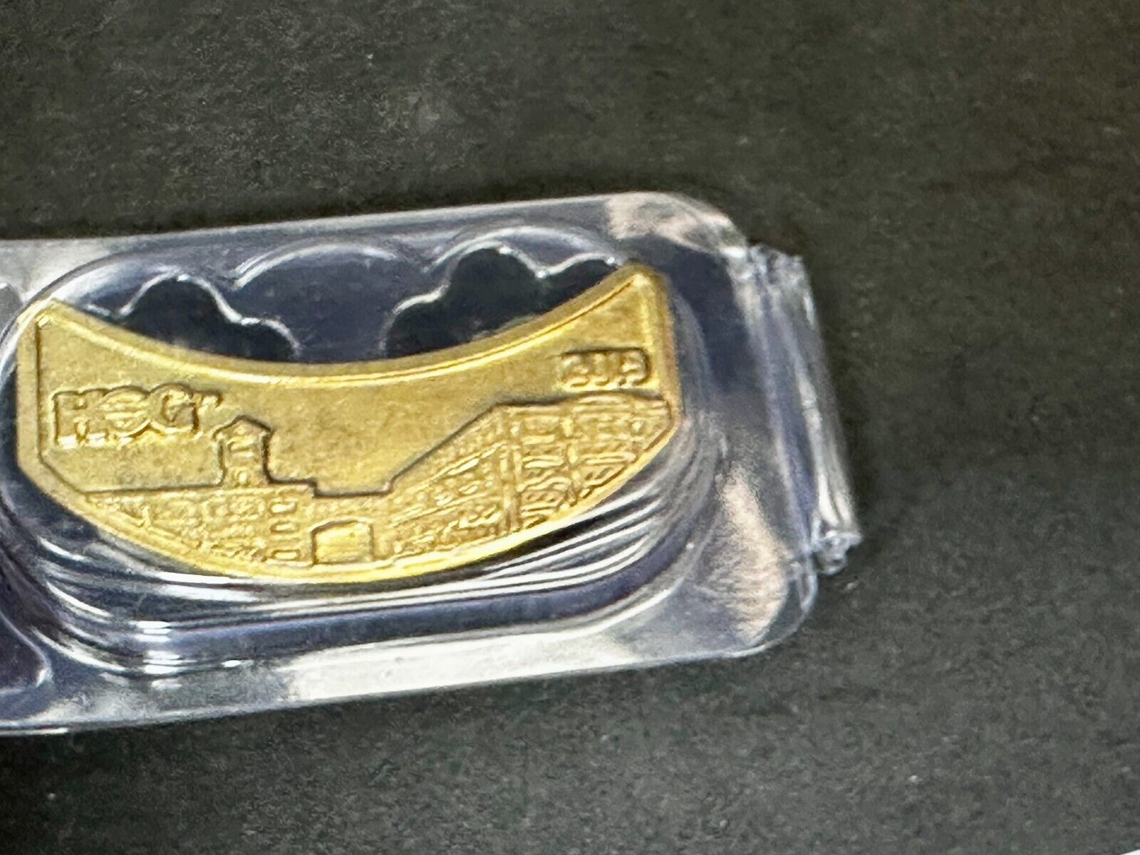 2018 Harley Davidson Owners Group HOG Pin for Jacket or Vest