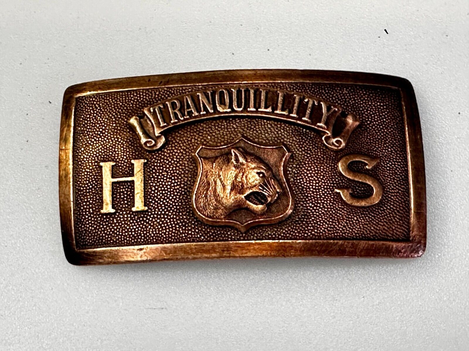 Tranquility High School Logo Seal Belt Buckle Invisible Made in USA