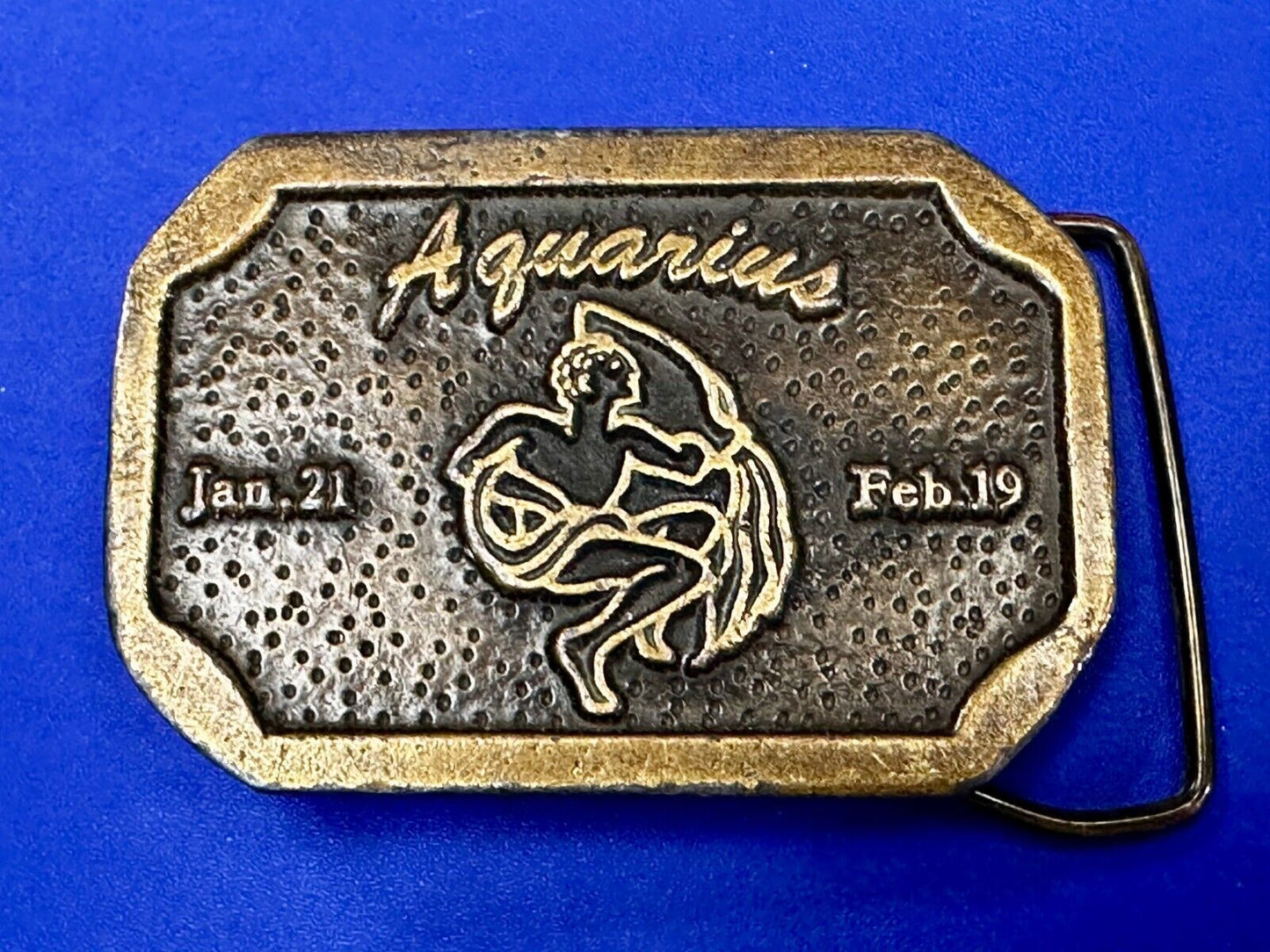 AQUARIUS Jan 21 - Feb 19  Horoscope Astrological Zodiac Cal Metals Belt Buckle