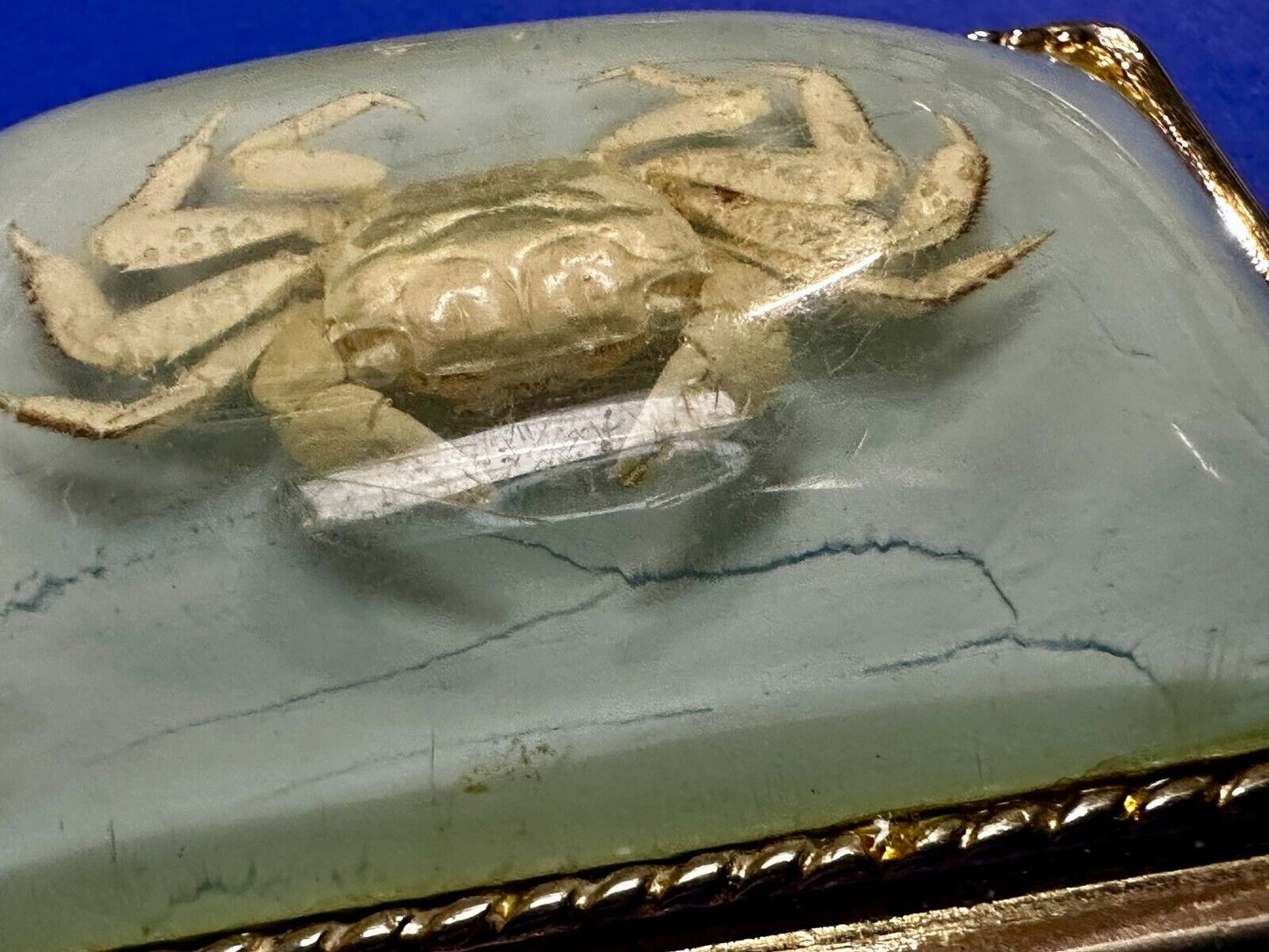 White Fiddler Crab Encased in Clear Enamel Vintage Gold tone Belt Buckle