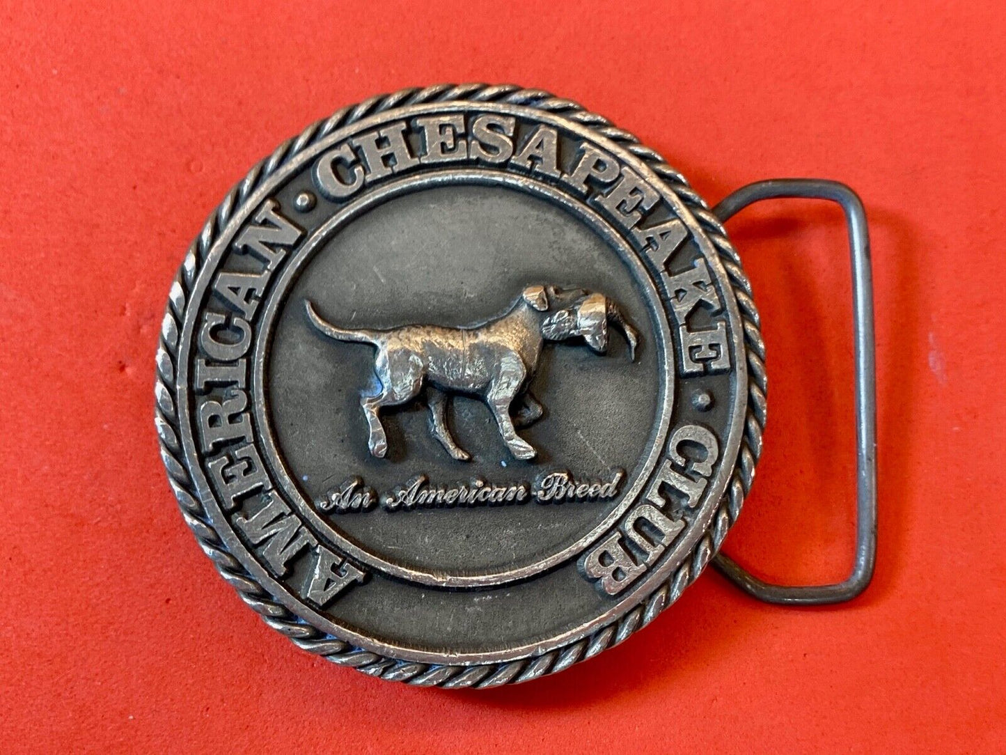 American Chesaphake Club, An American Breed Vtg 80'S Round Belt Buckle Sid Bell 