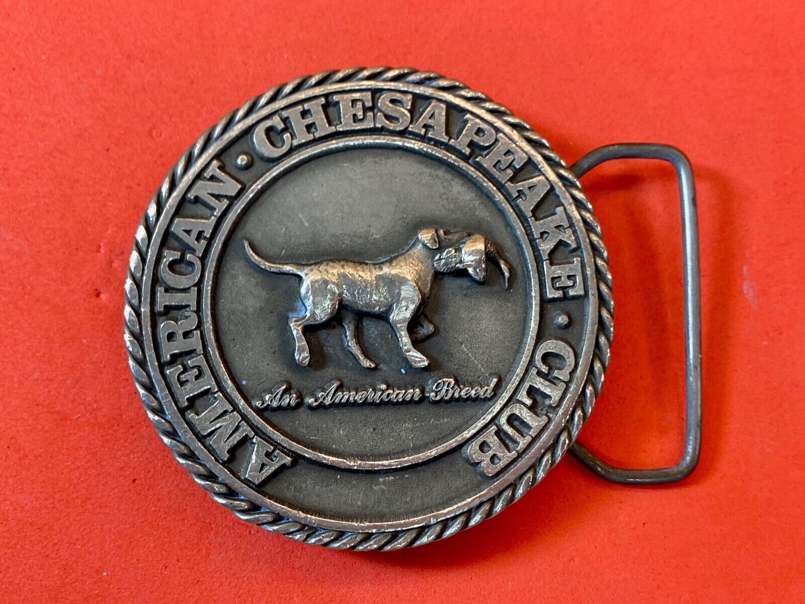 American Chesaphake Club, An American Breed Vtg 80'S Round Belt Buckle Sid Bell 
