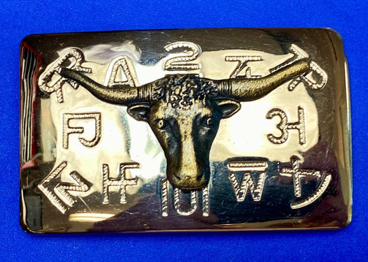 Texas Longhorn Cow Steer & branding symbols Vintage Chambers western belt buckle