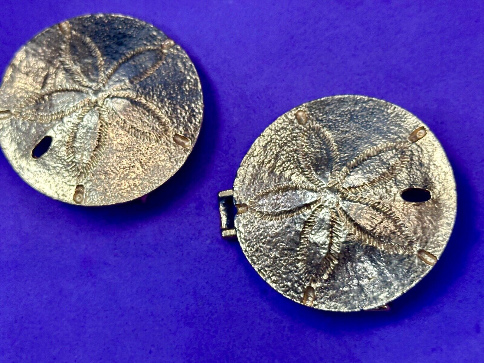 Two piece interconnecting Sand Dollars  vintage belt buckle by Mimi Di N