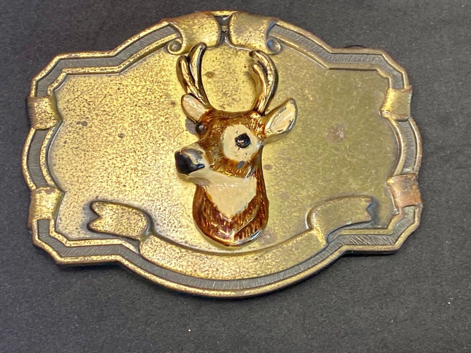Vintage DEER Head Bust on wall!   in western framed belt buckle 