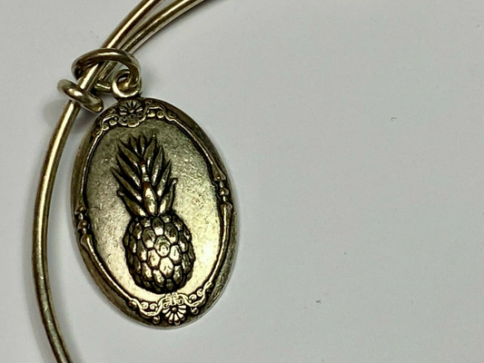 Alex And Ani Pineapple 2016 Charm Bracelet Bangle Warmth Welcome Friendship