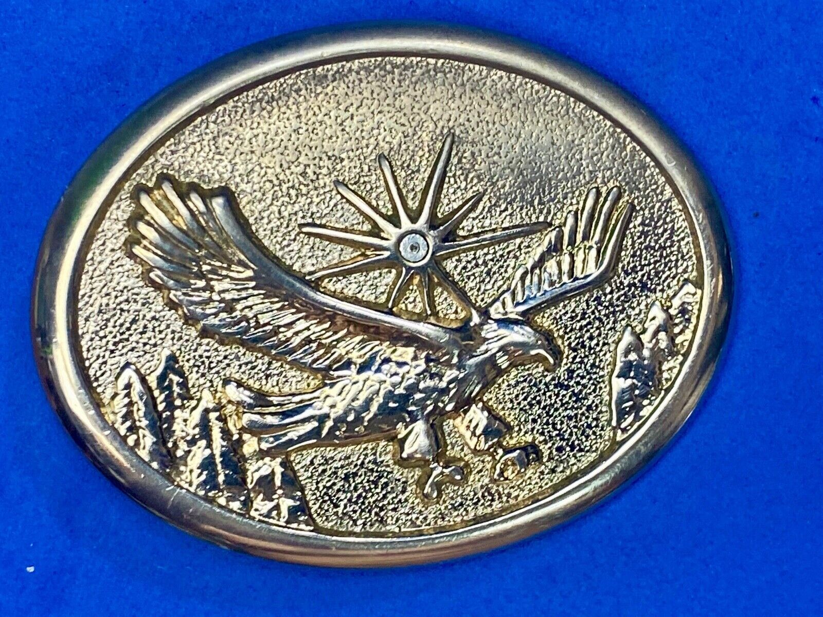 American Eagle Flying wings wide with star sun burst! USA belt buckle 