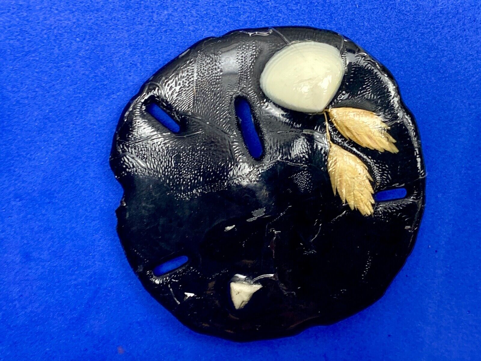 Artisan Black Sand Dollar Ocean Theme Shell belt buckle 