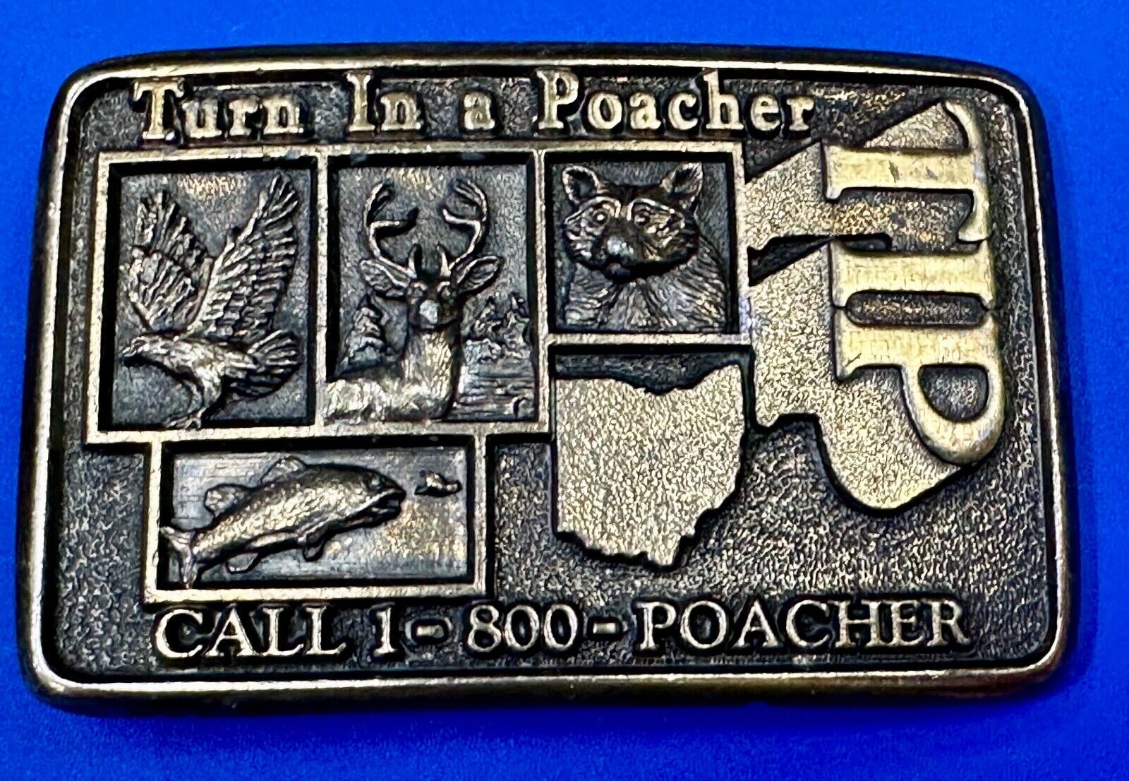 Turn in a Poacher Enjoy wildlife tomorrow TIP line hunting RARE belt buckle