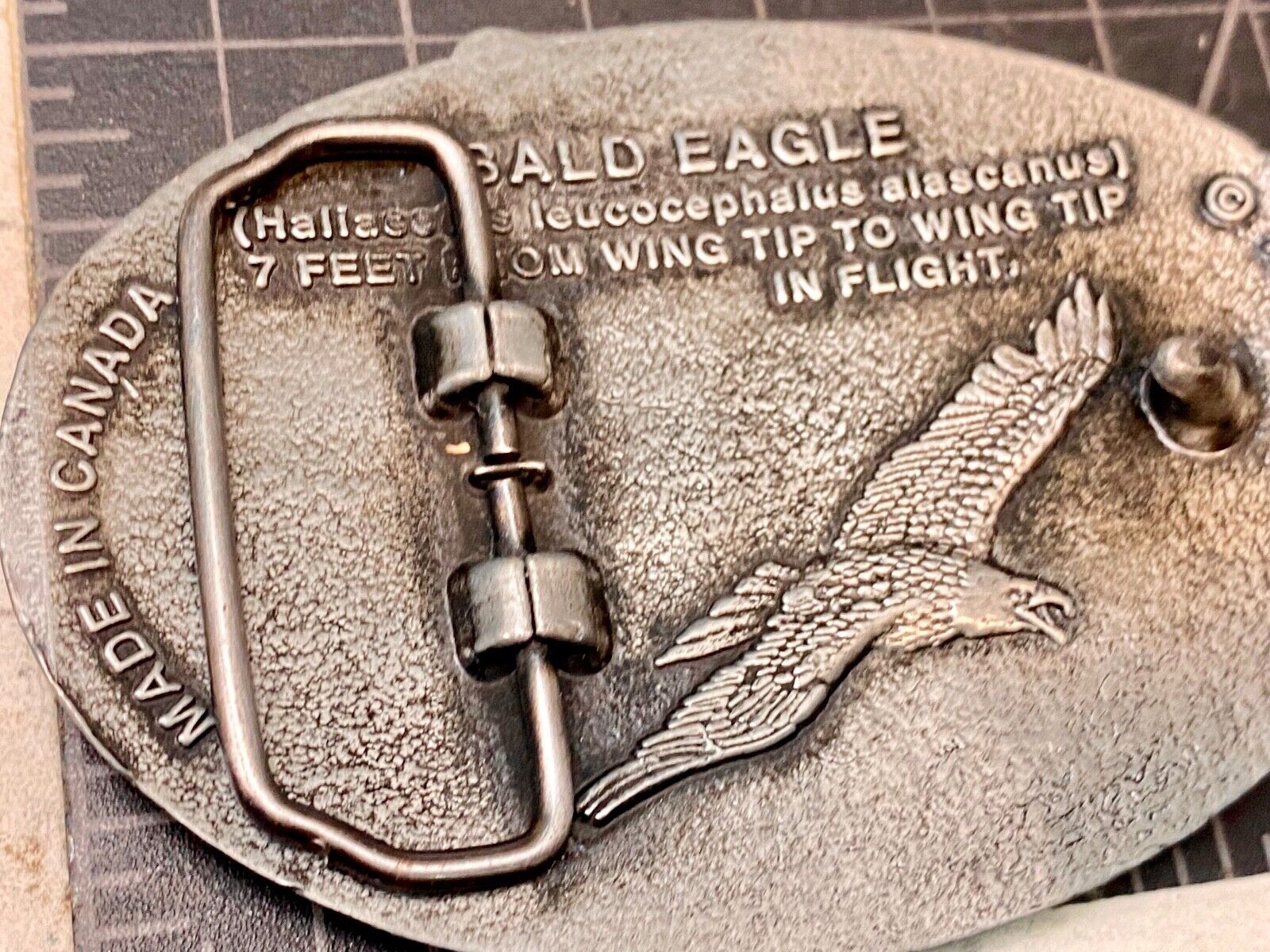 Alaska The Great Land American Bald Eagle Commemorative Belt Buckle
