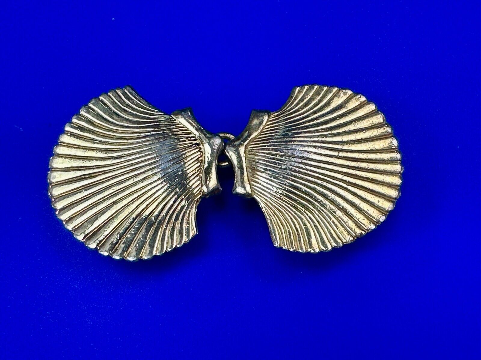 Ocean Sea Clam Shells interconnecting vintage belt buckle by Accessocr ...