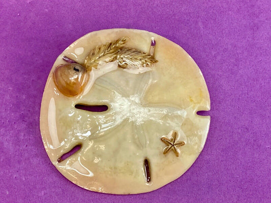 Vintage Charmant of Beverly Hills, CA Sand Dollar Belt Buckle Scarf Clip 