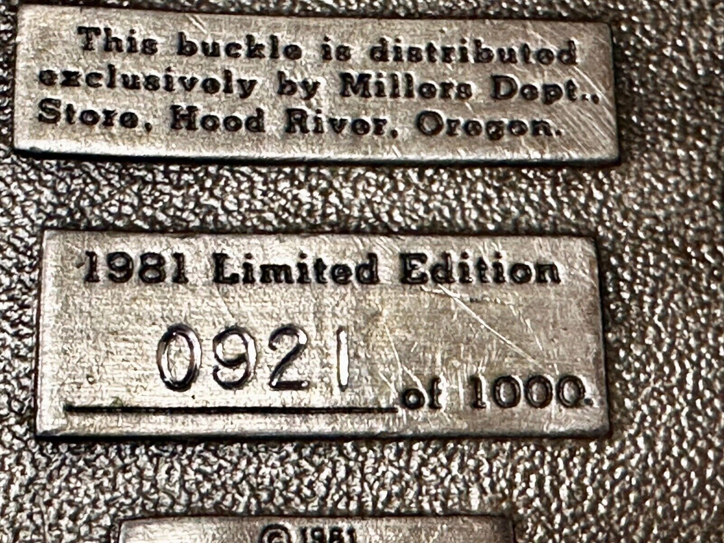 Mt. Hood River Valley Oregon Majestic Scenery Vtg 1981 Commemorative Belt Buckle