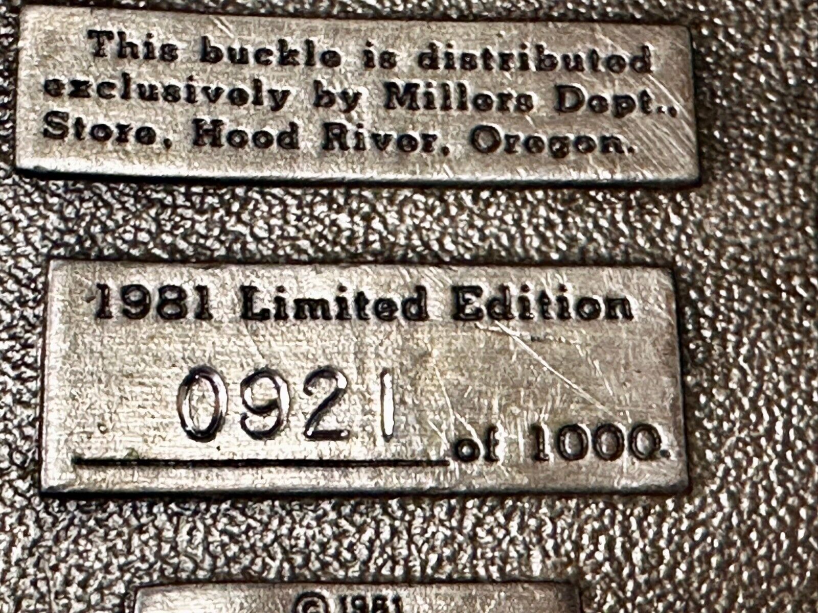 Mt. Hood River Valley Oregon Majestic Scenery Vtg 1981 Commemorative Belt Buckle