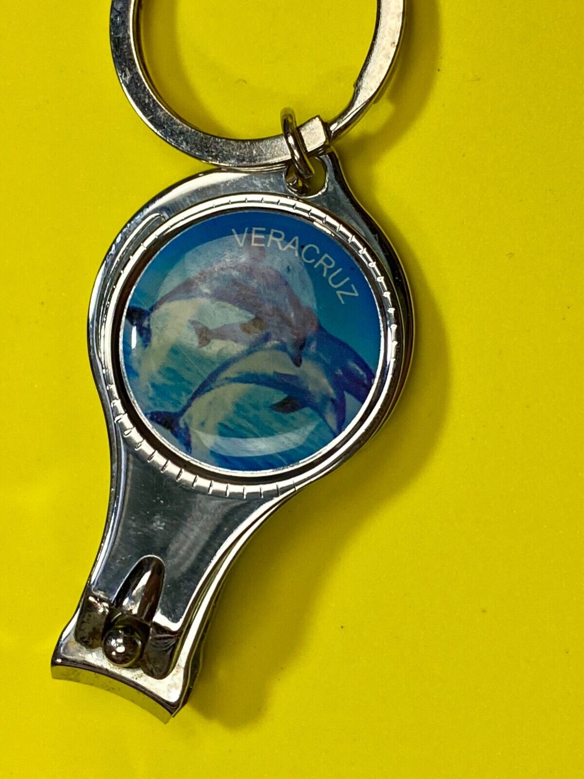 Veracruz (Mexico) Jumping swimming dolphins key chain keychain toenail clipper