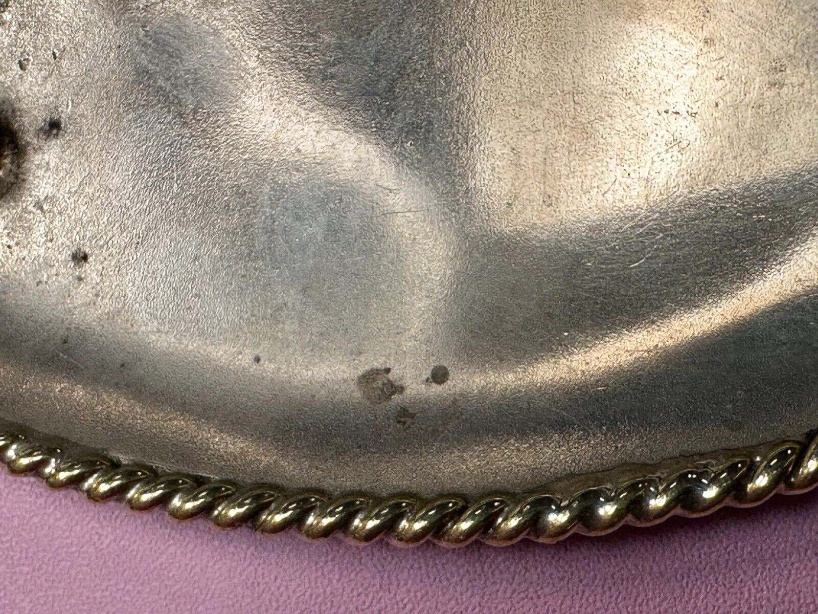 TSPHA Horse Texas Saddlebreds Shoeing 1999 Live Trophy RARE!  A E Belt Buckle