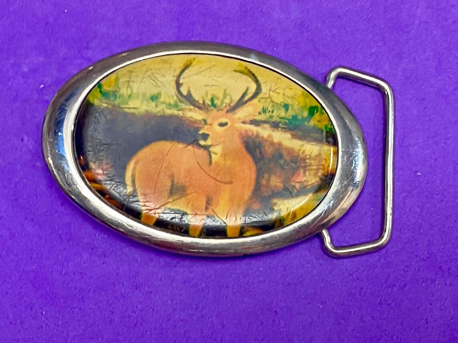 Vintage 1987 PICTURE OF DEER IN NATURE - HUGE RACK! Solid Brass TN belt buckle 