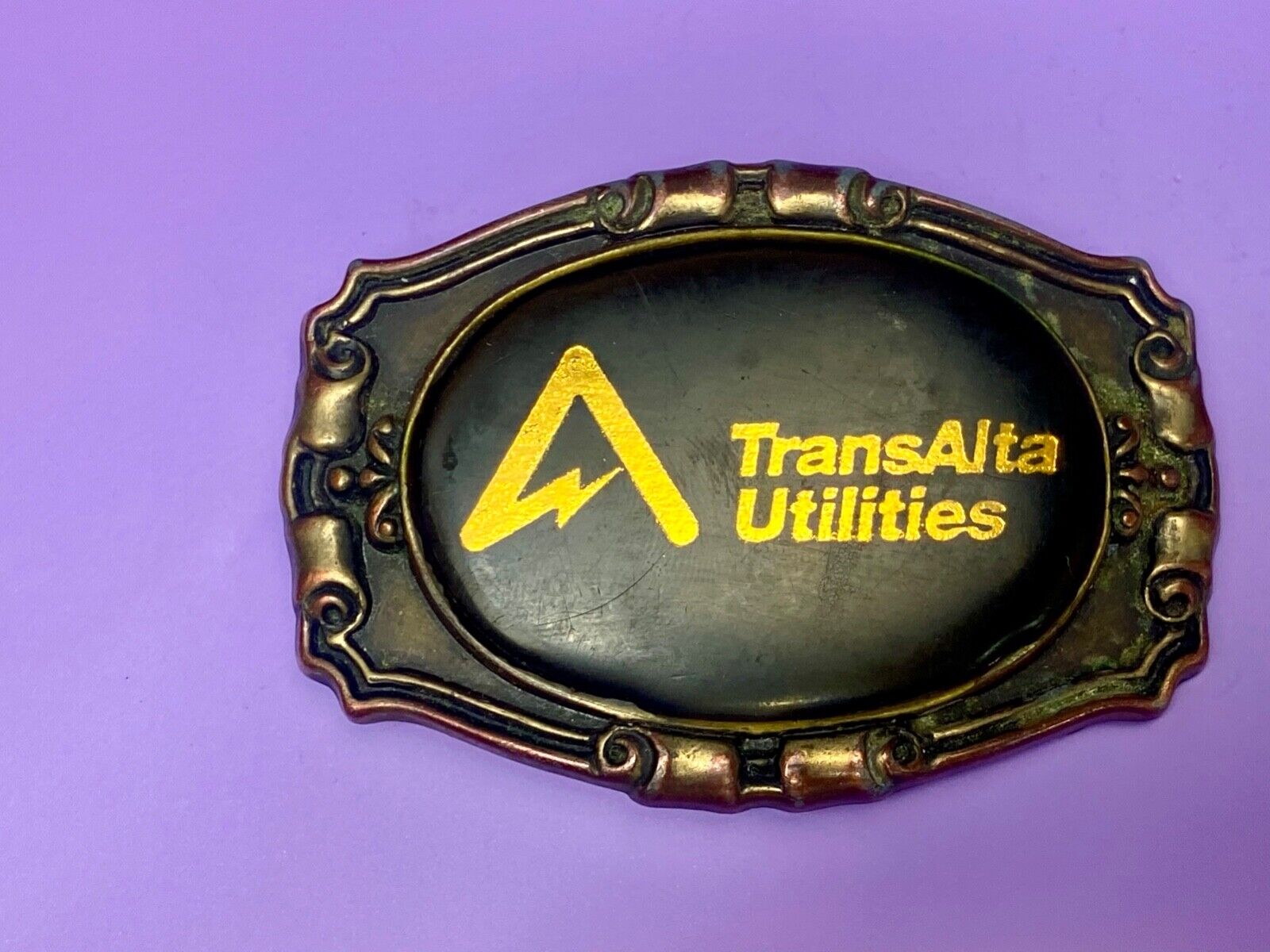 Trans Alta Utilities company western framed shipping co belt buckle