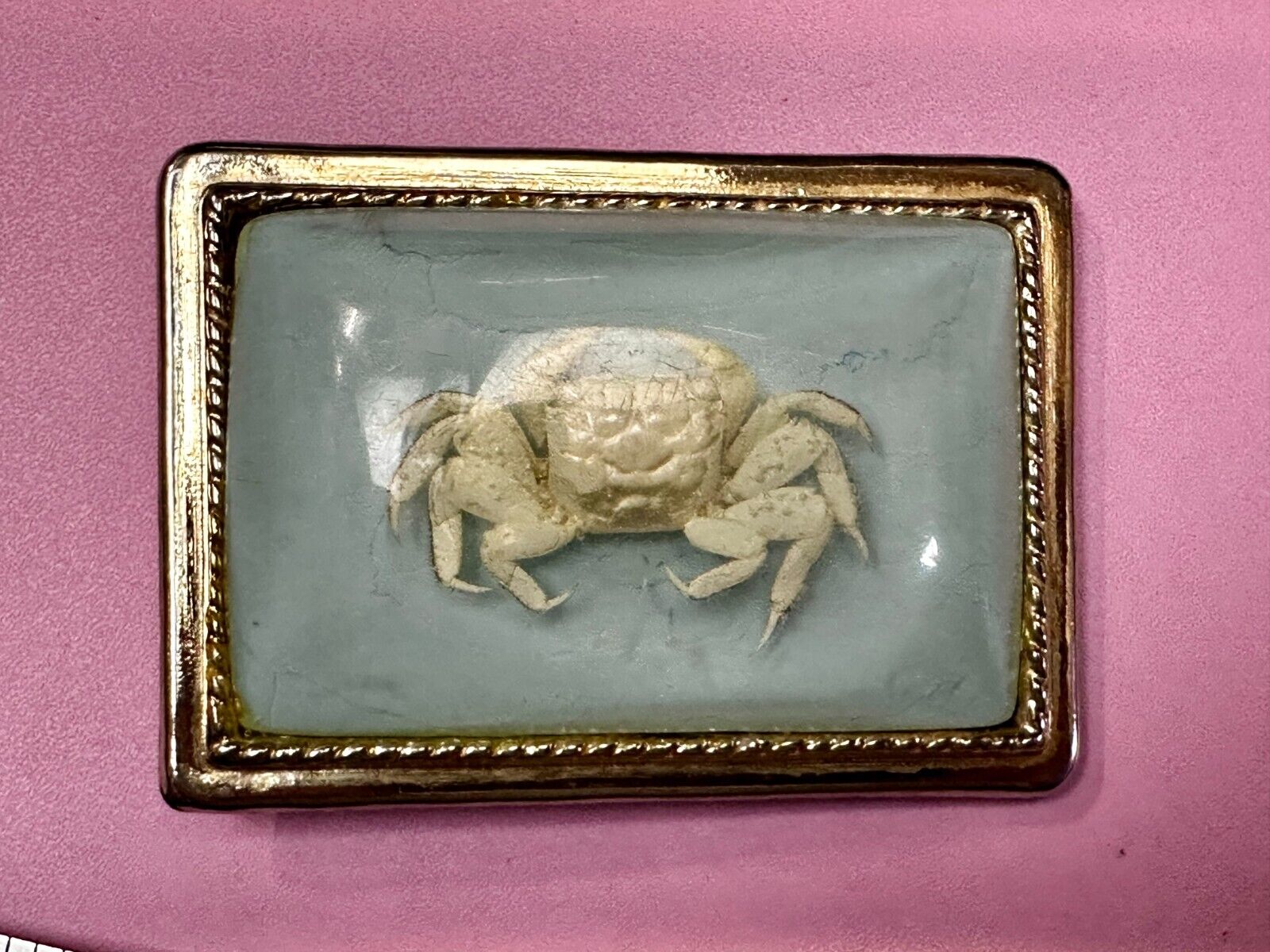 White Fiddler Crab Encased in Clear Enamel Vintage Gold tone Belt Buckle