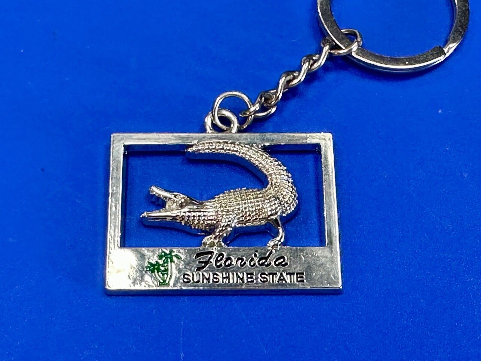 Alligator, Florida,  The Sunshine State souvenir Keychain - Key Ring Chain