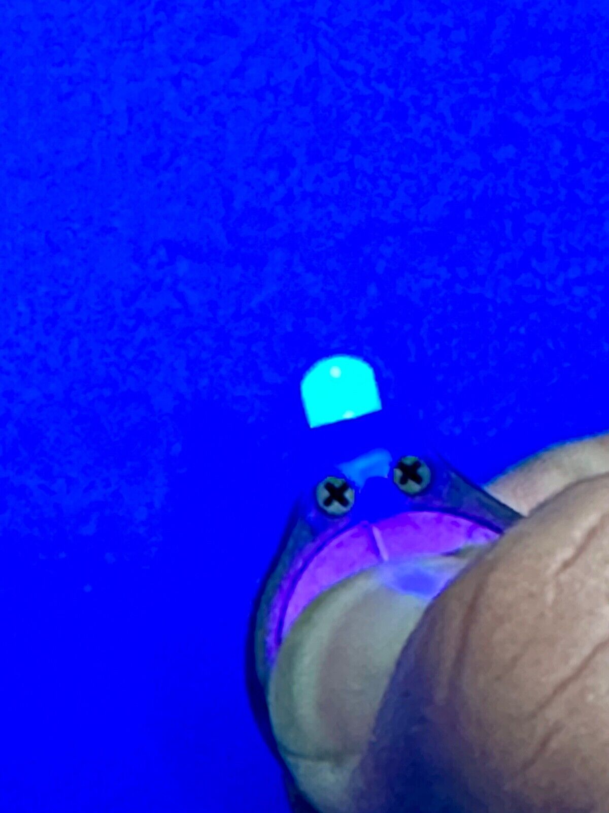 UV Mini LED Keychain Flashlight Black Light UV Lights Key Ring JWISLAND