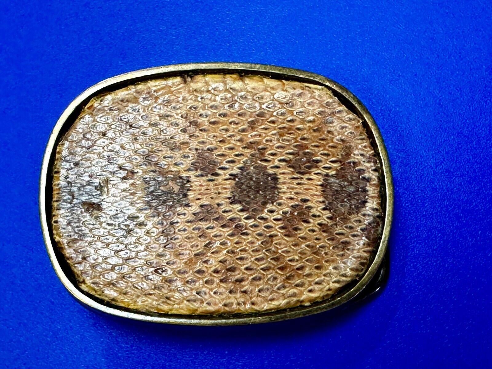 Unique Brown Snake Skin Vintage Textured Leather On Brass Tone Belt Buckle