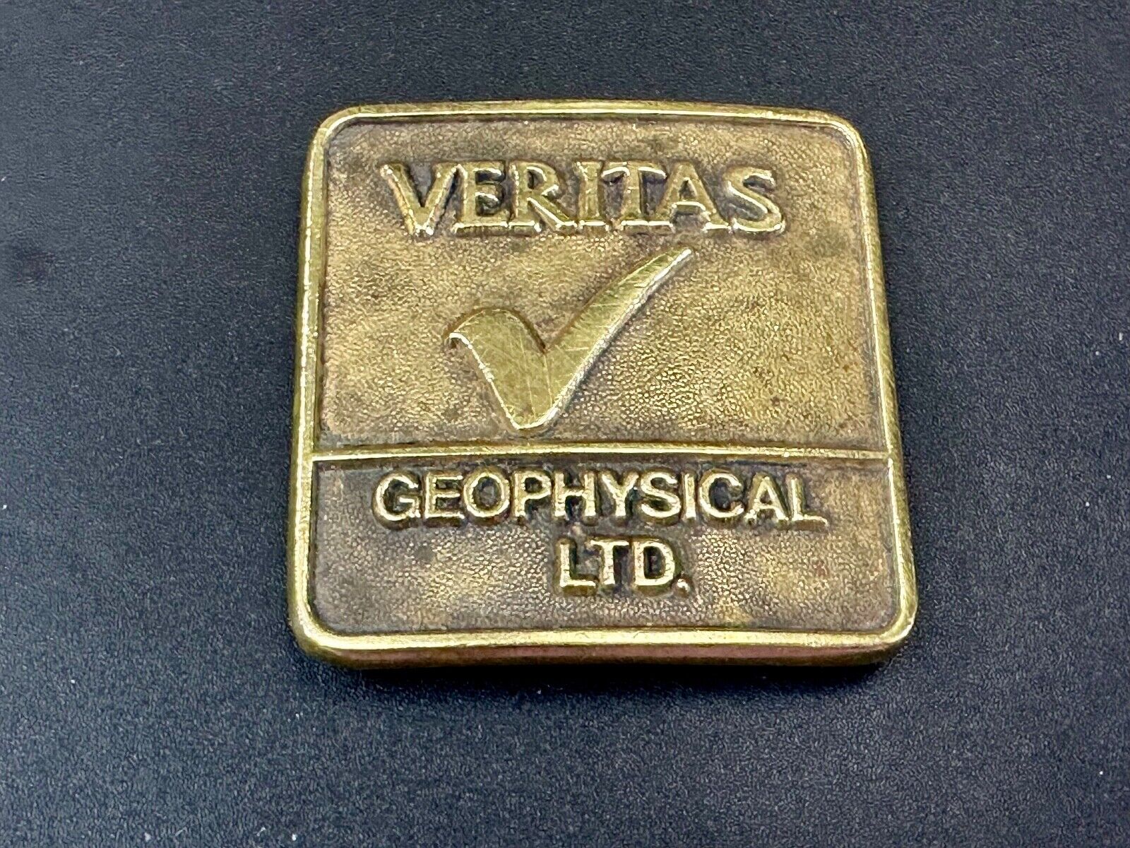 Veritas Geophysical Ltd CGG Alberta Canada vintage adverting belt buckle