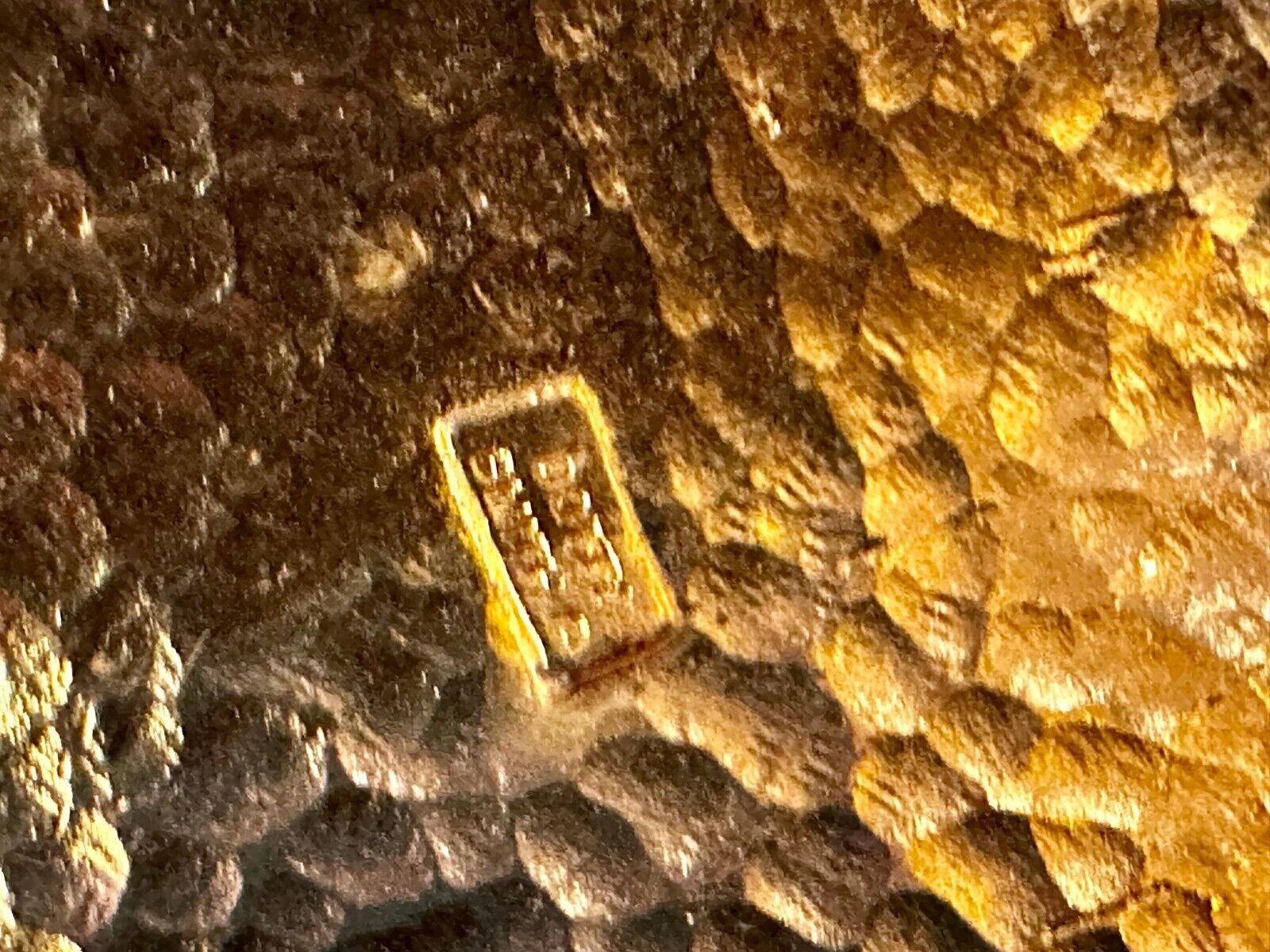 6" Wide Two Piece interlocking Gold Tone Vintage Belt Buckle by Dotty Smith