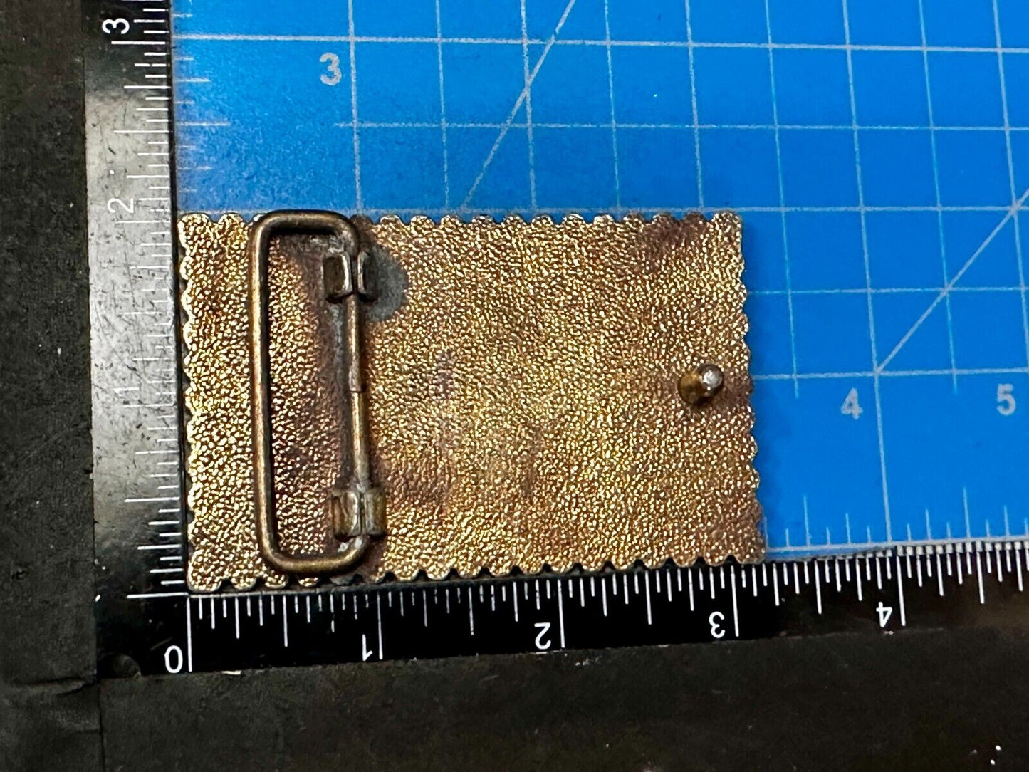 United States Postage Stamp Pharmacy Rx 8 Cent Pharmacist Belt Buckle