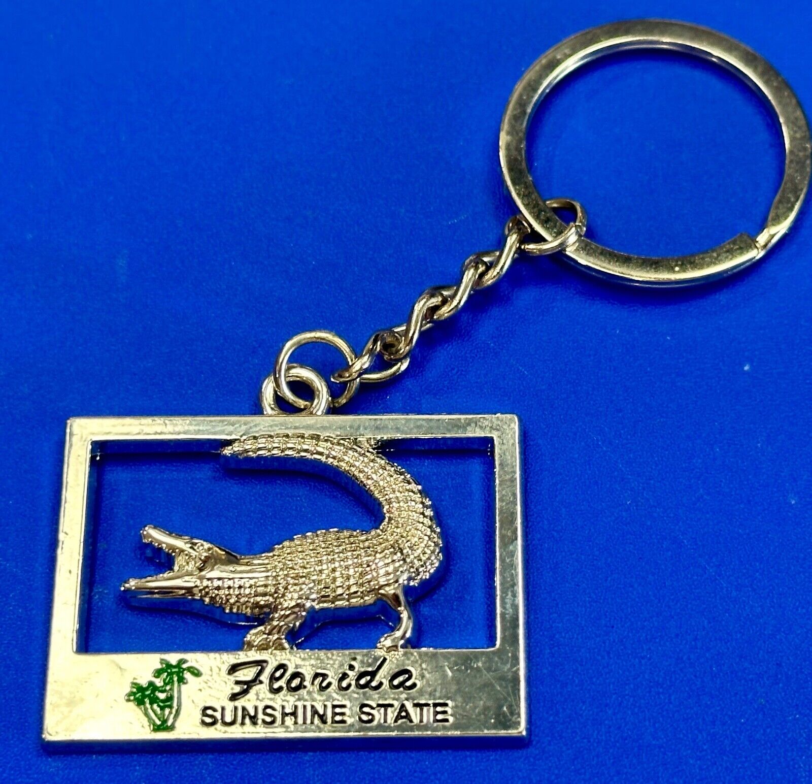 Alligator, Florida,  The Sunshine State souvenir Keychain - Key Ring Chain