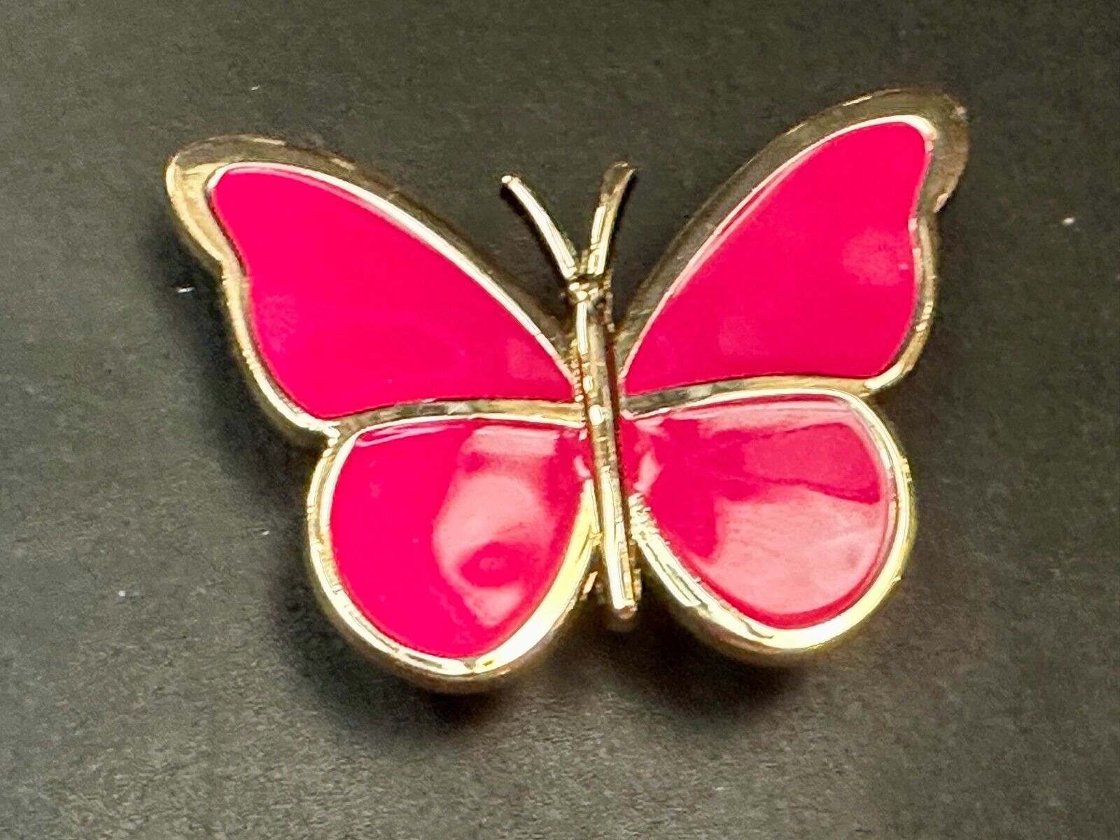 Beautiful Butterfly Shaped Cutout Pink Enameled Womens Belt Buckle