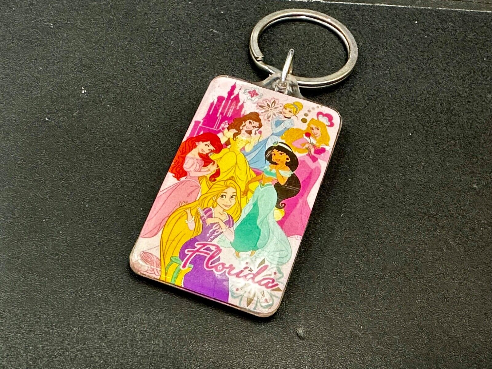 All the Princesses of Disney and Florida!  Souvenir Keychain, Key Chain Ring