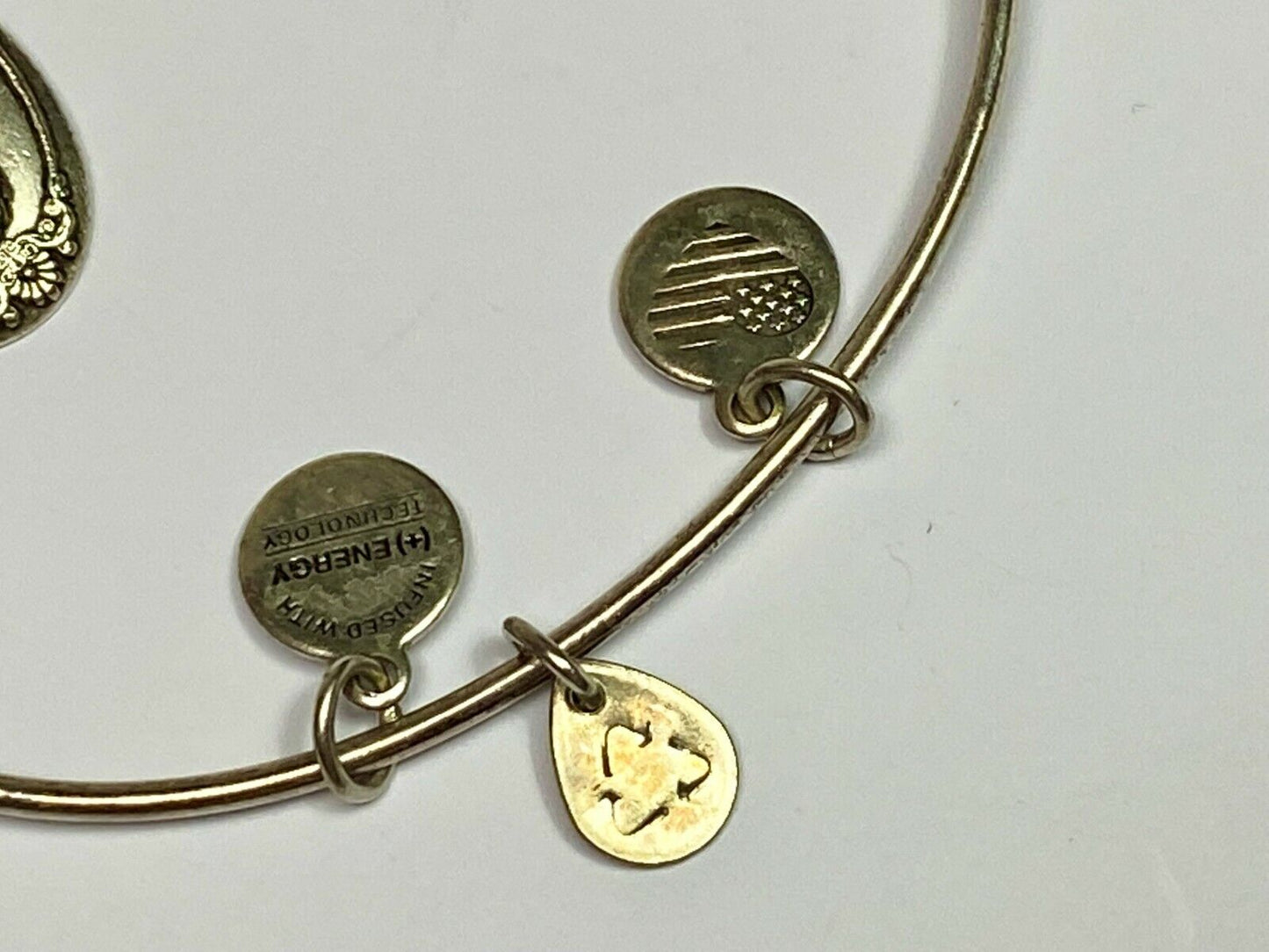 Alex And Ani Pineapple 2016 Charm Bracelet Bangle Warmth Welcome Friendship
